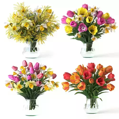 Bouquets of tulips and Narcissuses