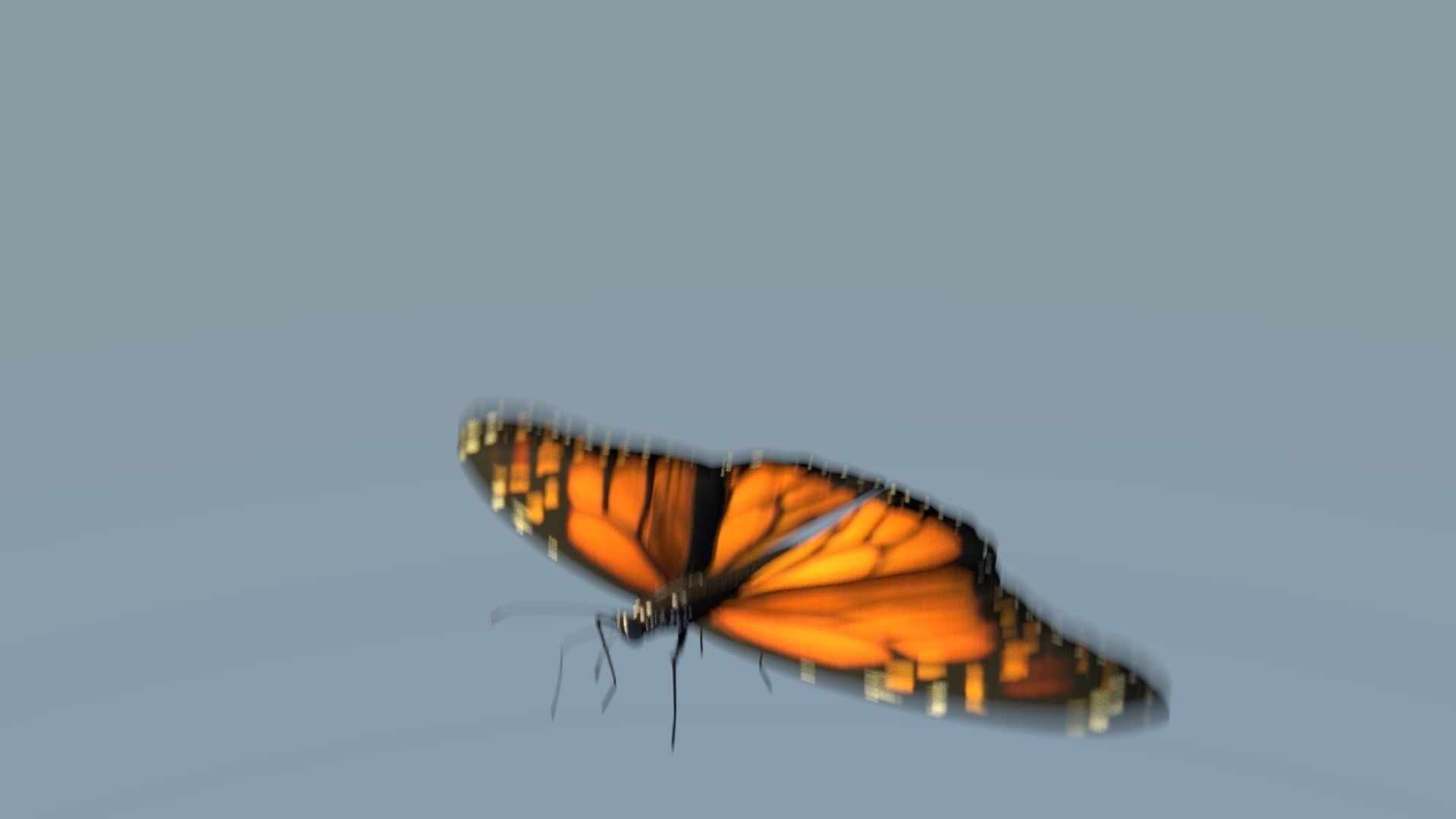 Monarch Butterfly Animated Rigged 3D model_4