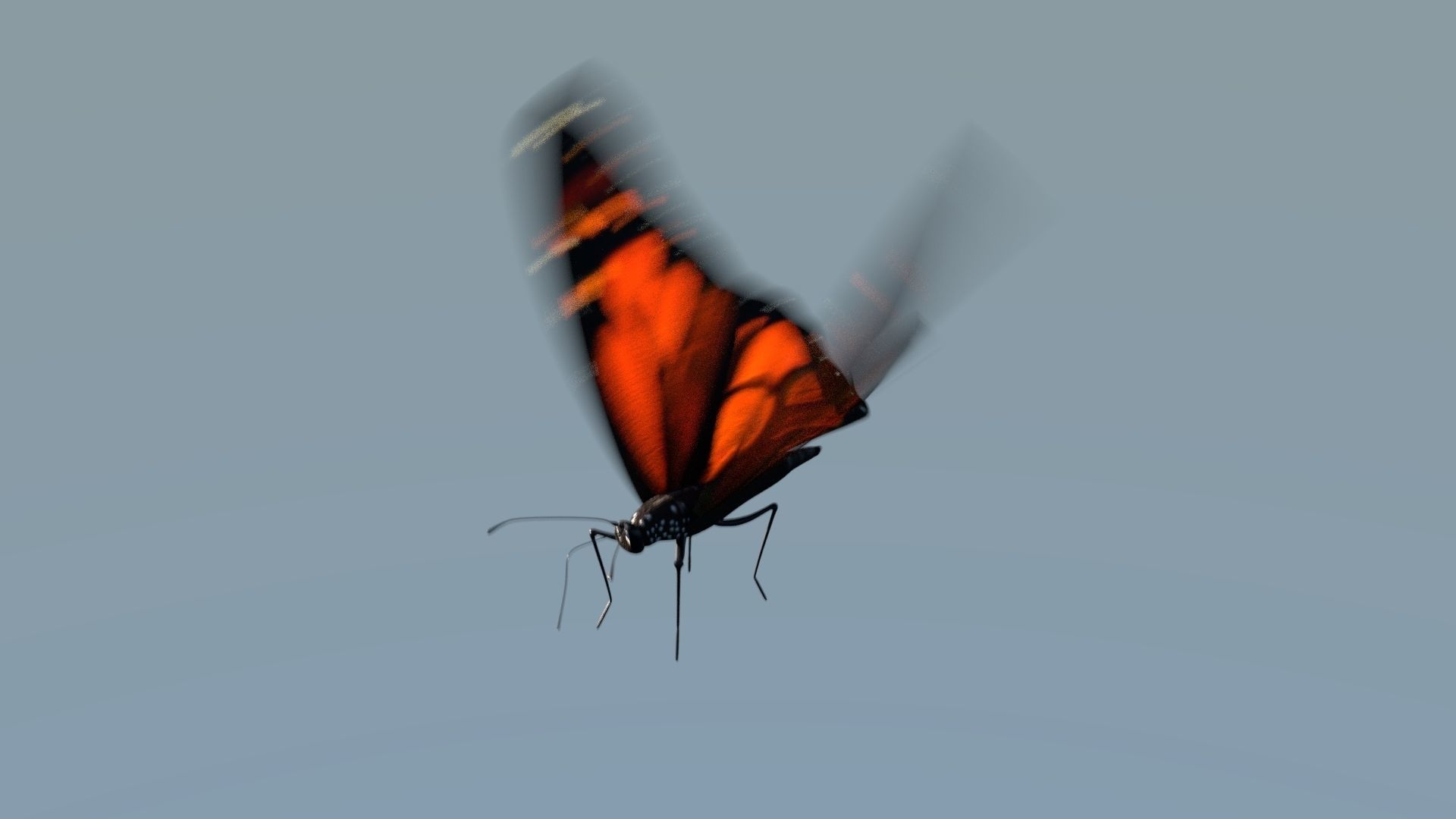 Monarch Butterfly Animated Rigged 3D model_3