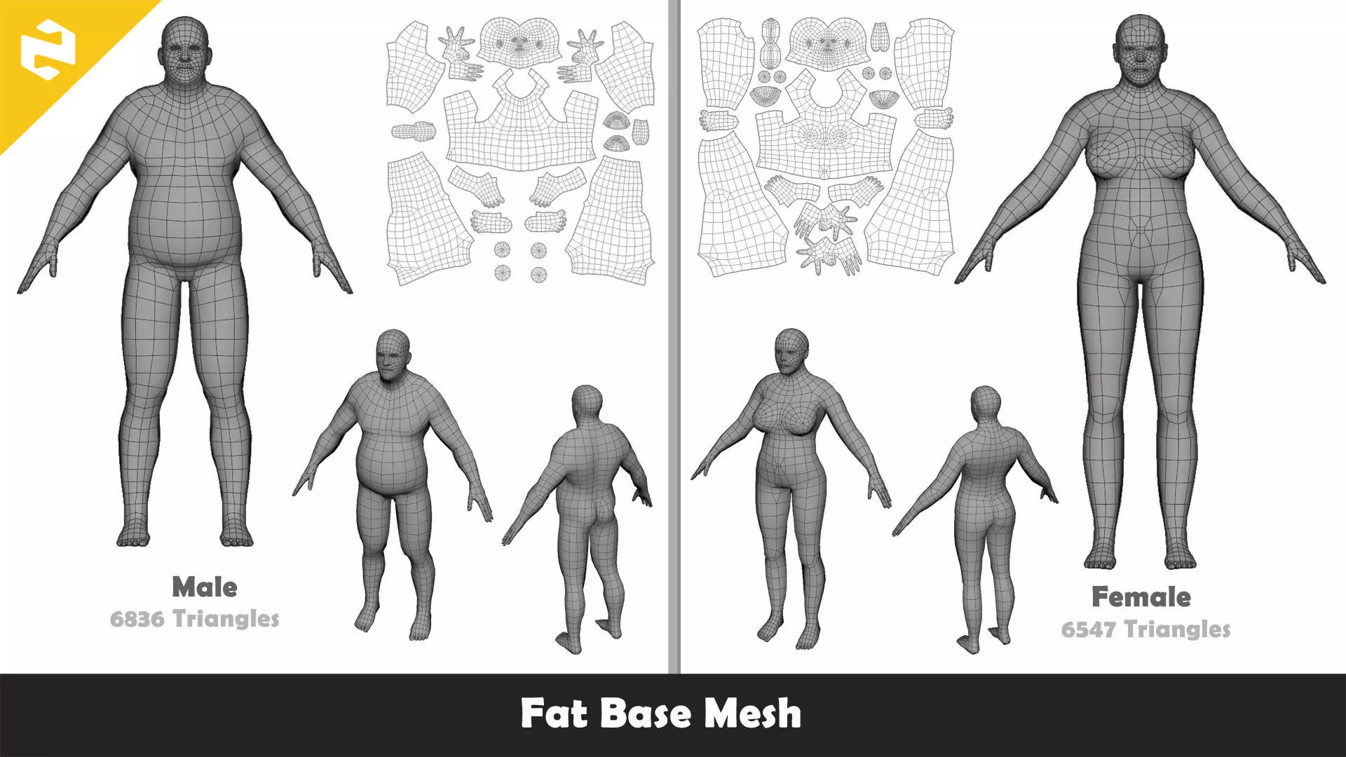Base Mesh Pack - Shape Base Mesh Low-poly 3D model_2