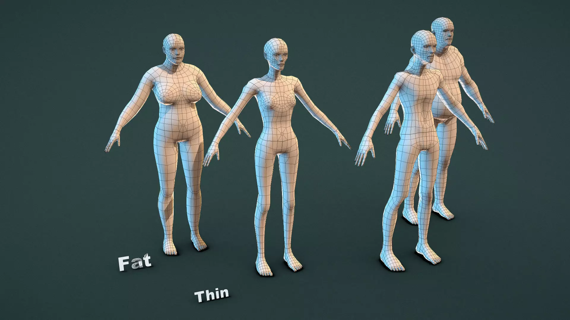 Base Mesh Pack - Shape Base Mesh Low-poly 3D model_5