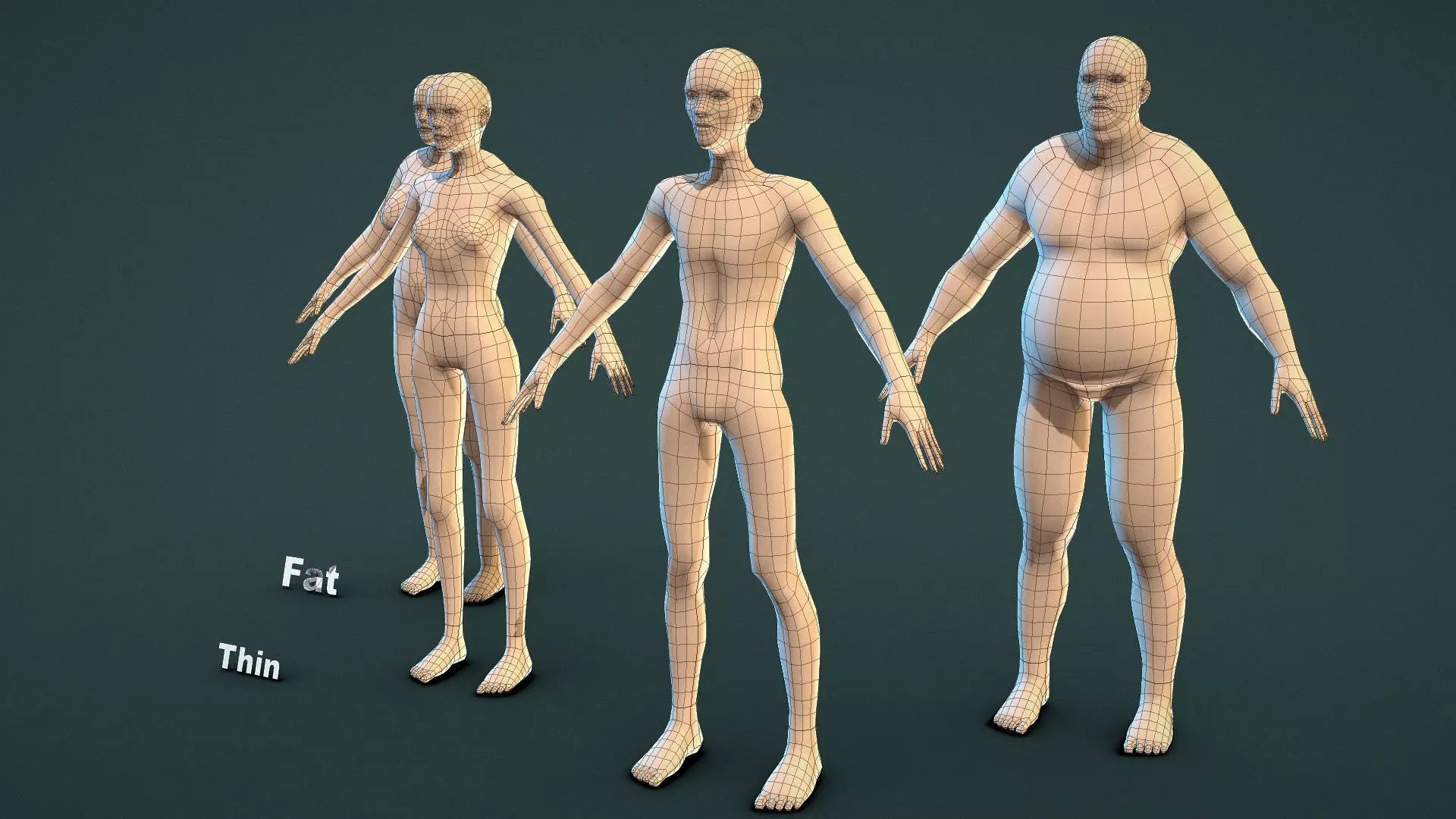 Base Mesh Pack - Shape Base Mesh Low-poly 3D model_4