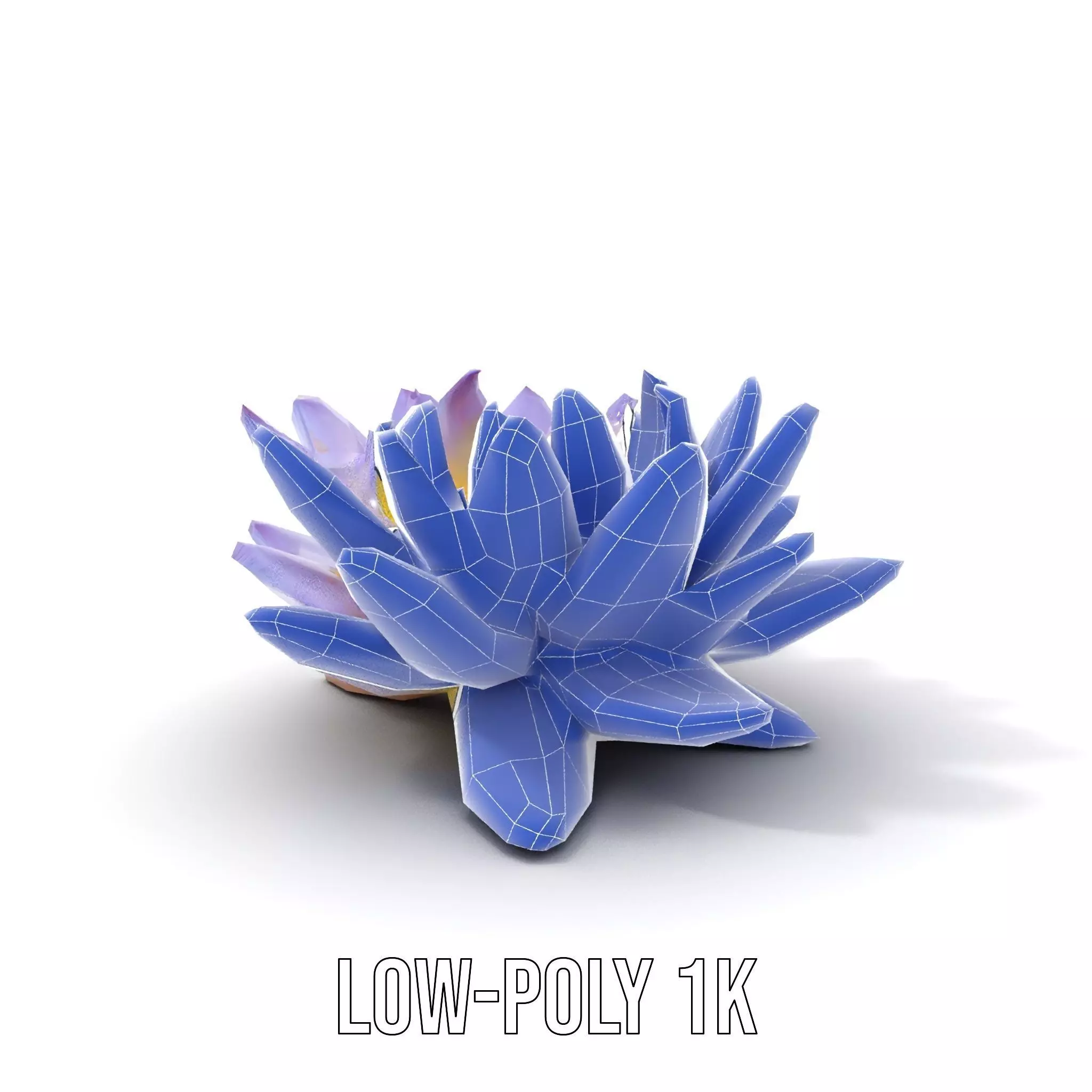 Elegant Lotus Blossom model pack Low-poly 3D model_23