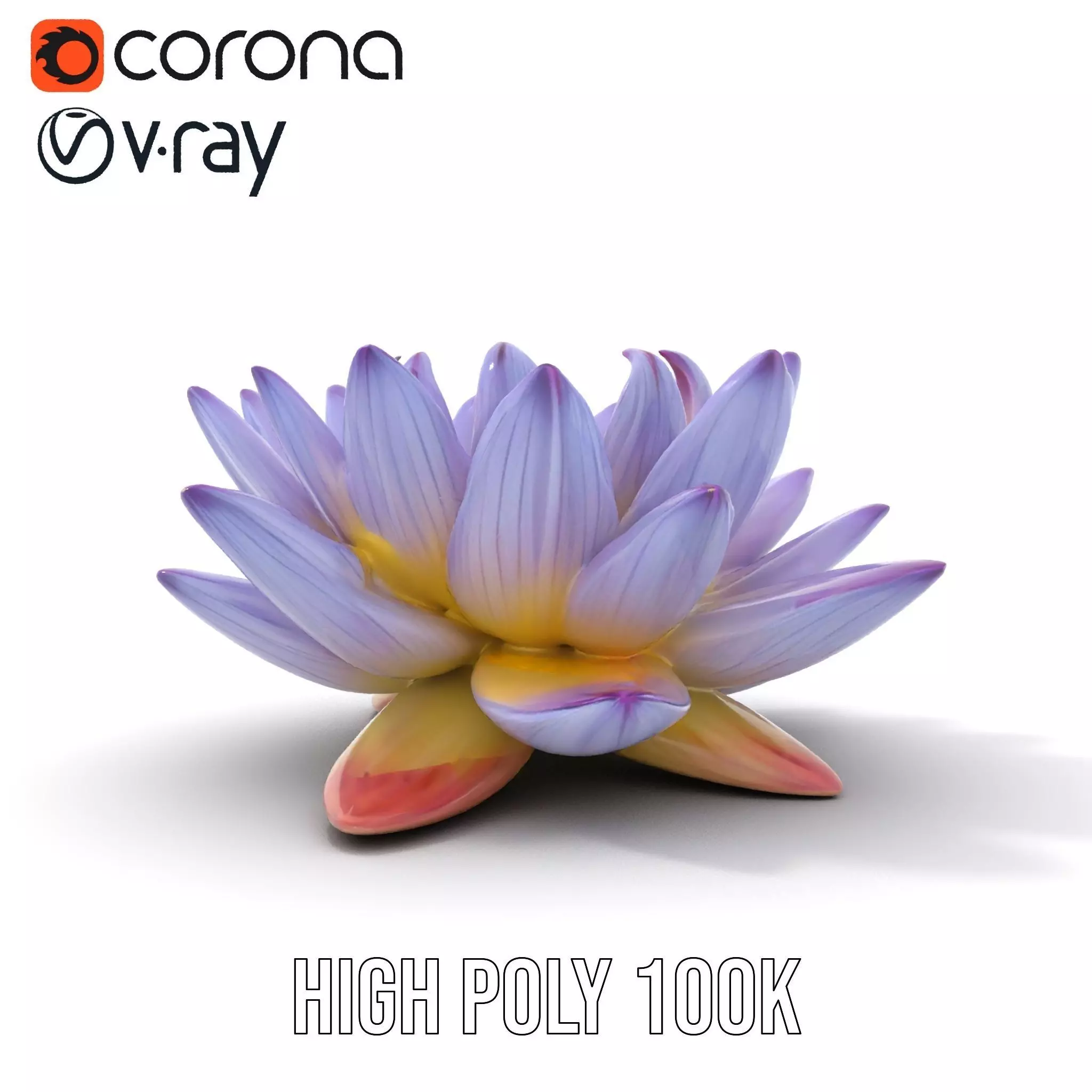 Elegant Lotus Blossom model pack Low-poly 3D model_16