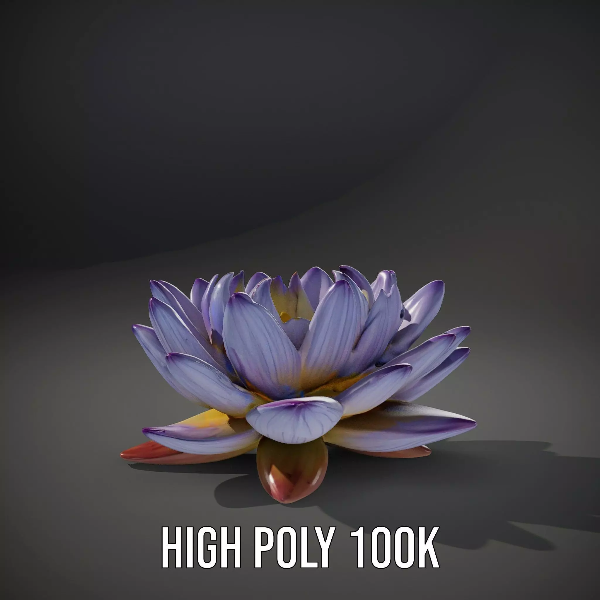 Elegant Lotus Blossom model pack Low-poly 3D model_10