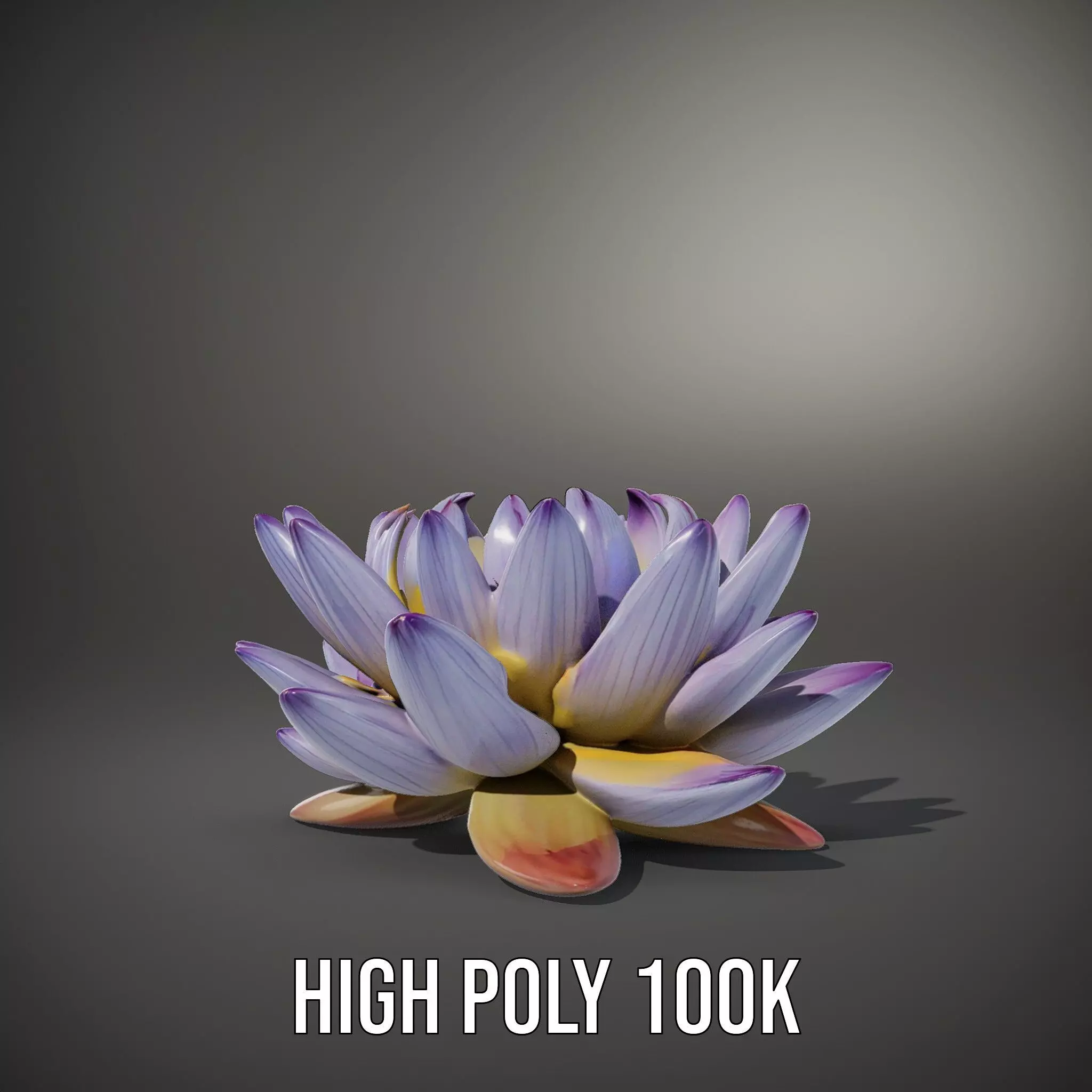 Elegant Lotus Blossom model pack Low-poly 3D model_24
