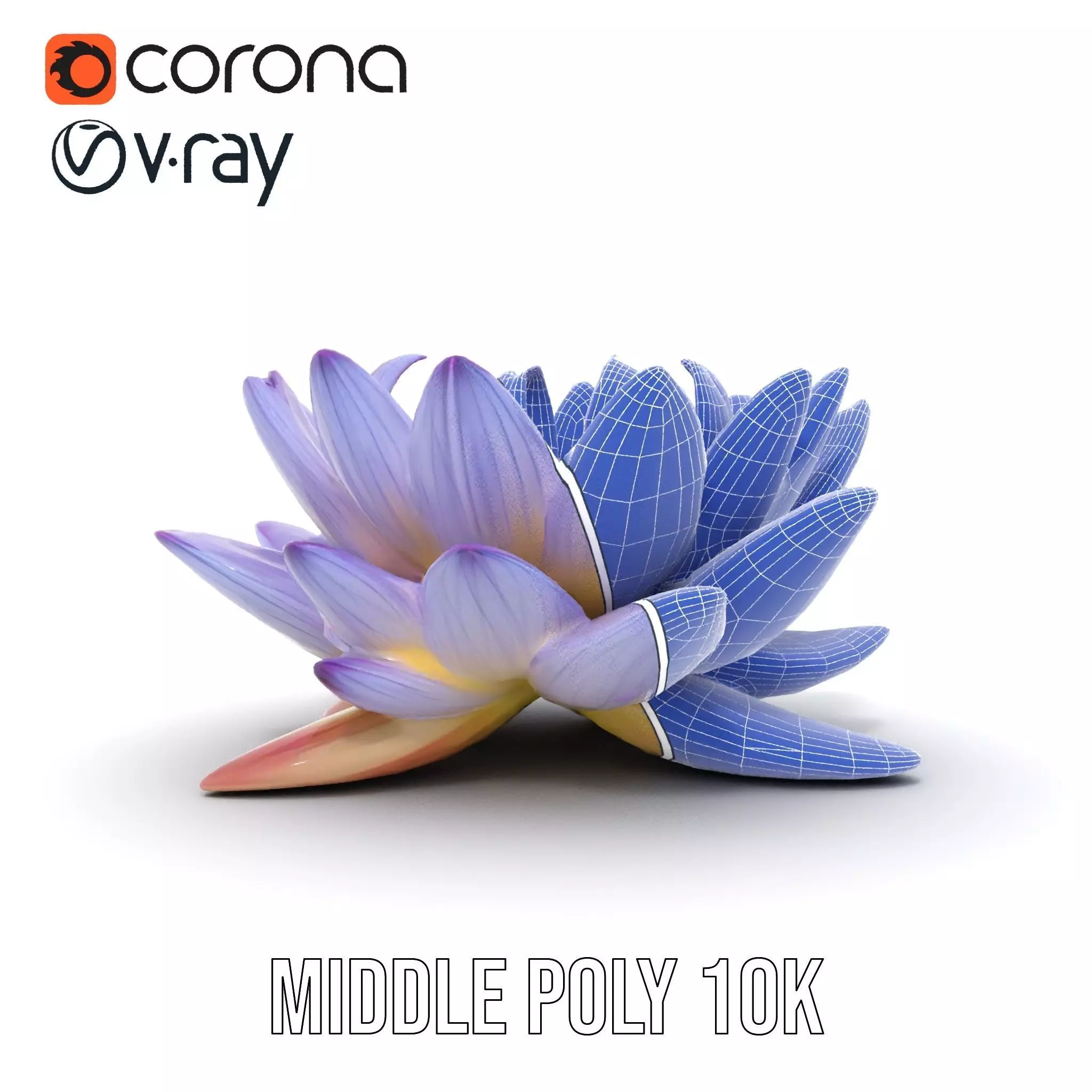 Elegant Lotus Blossom model pack Low-poly 3D model_25