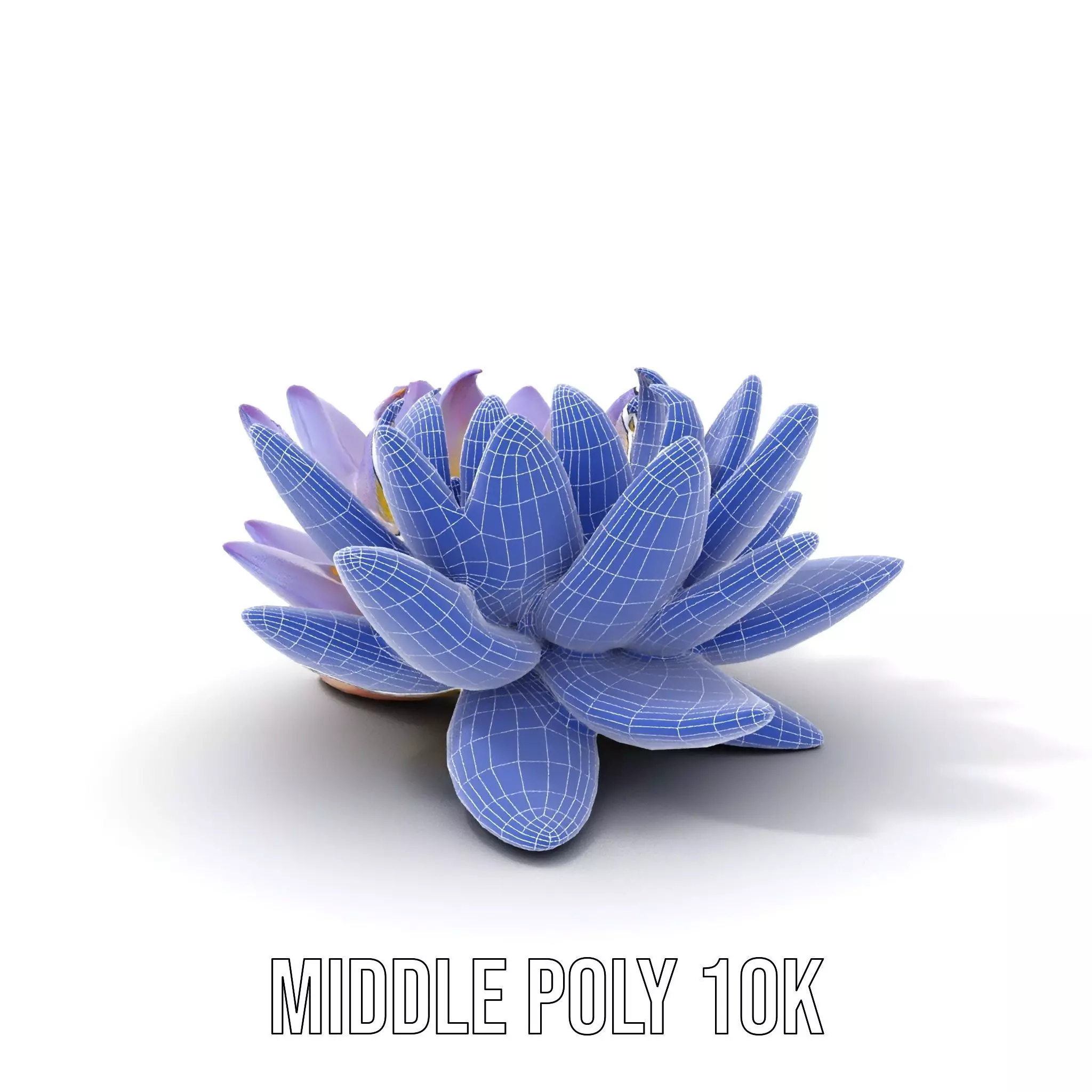 Elegant Lotus Blossom model pack Low-poly 3D model_31