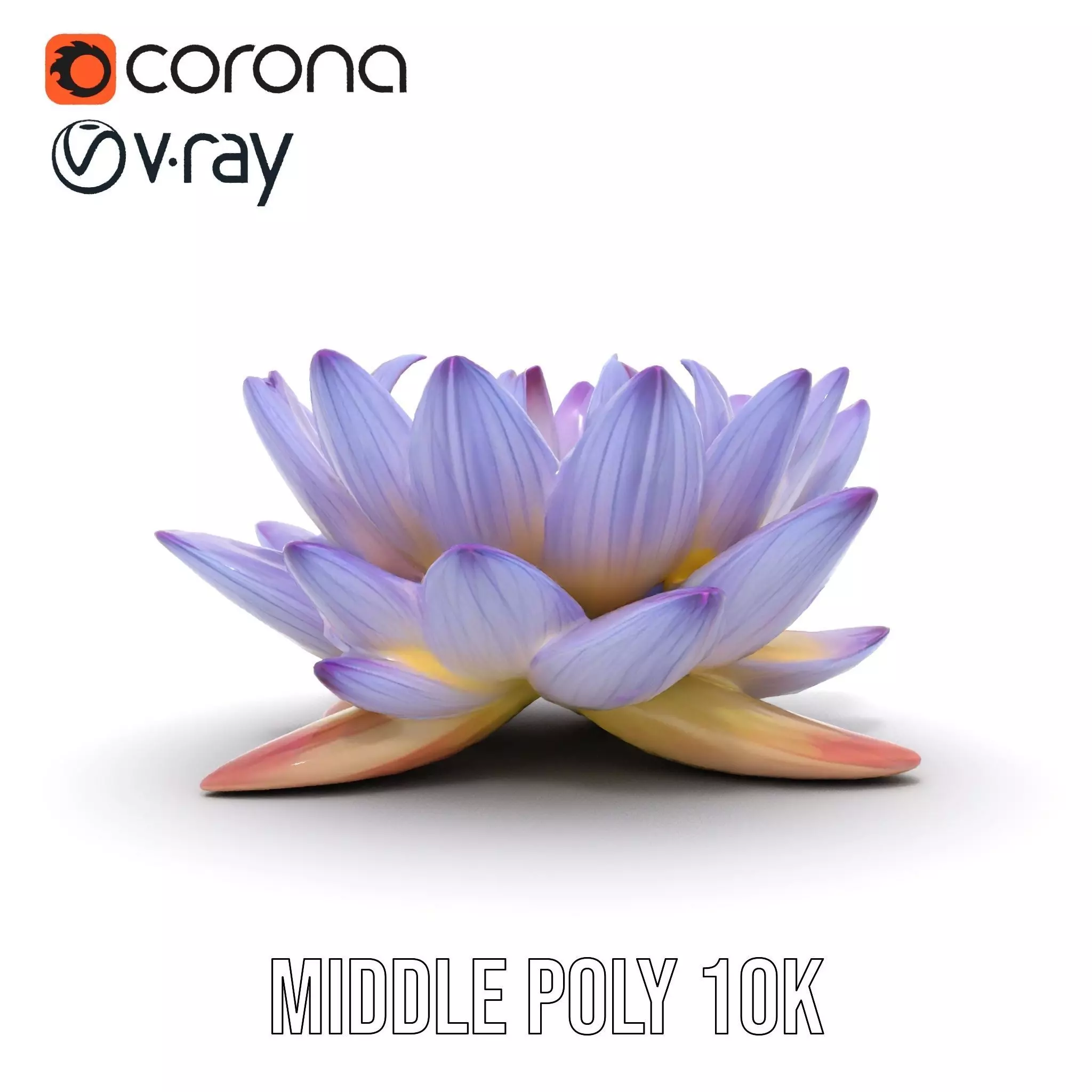Elegant Lotus Blossom model pack Low-poly 3D model_22