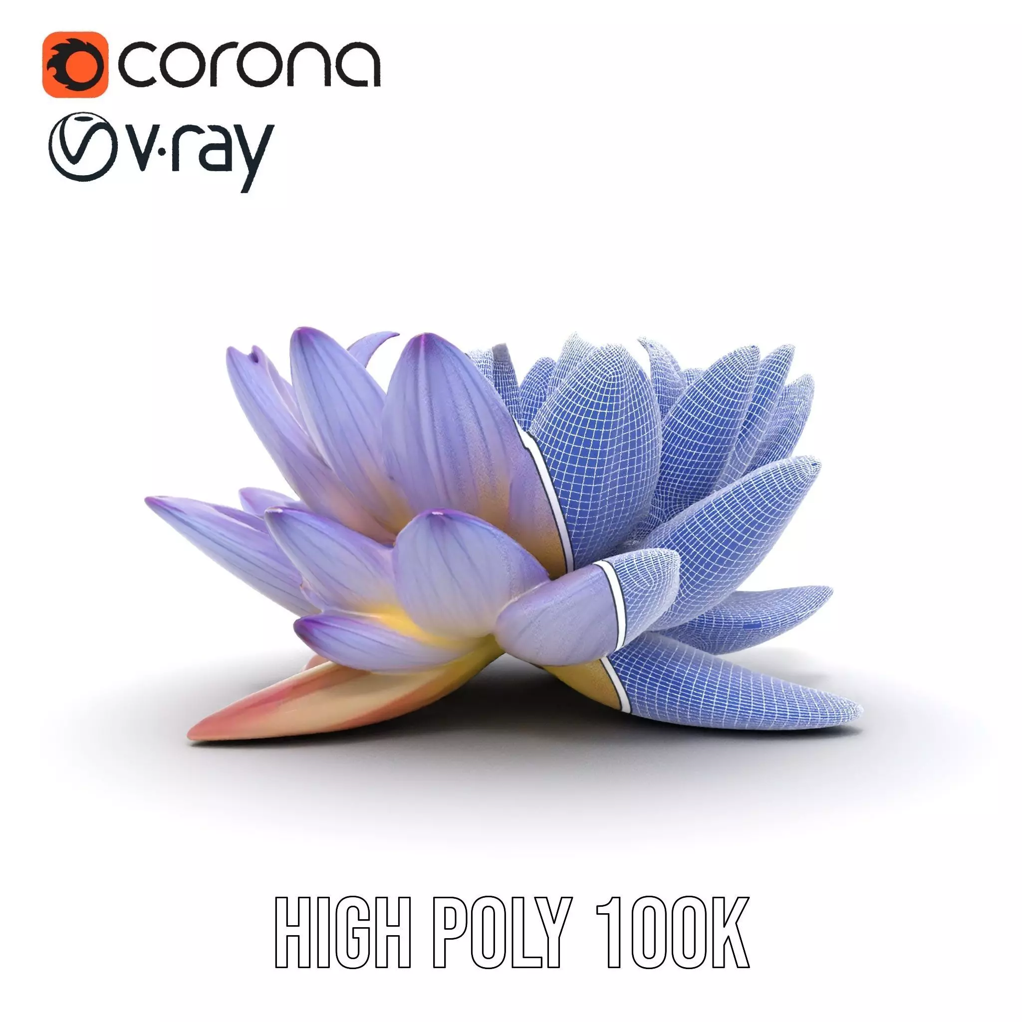 Elegant Lotus Blossom model pack Low-poly 3D model_34