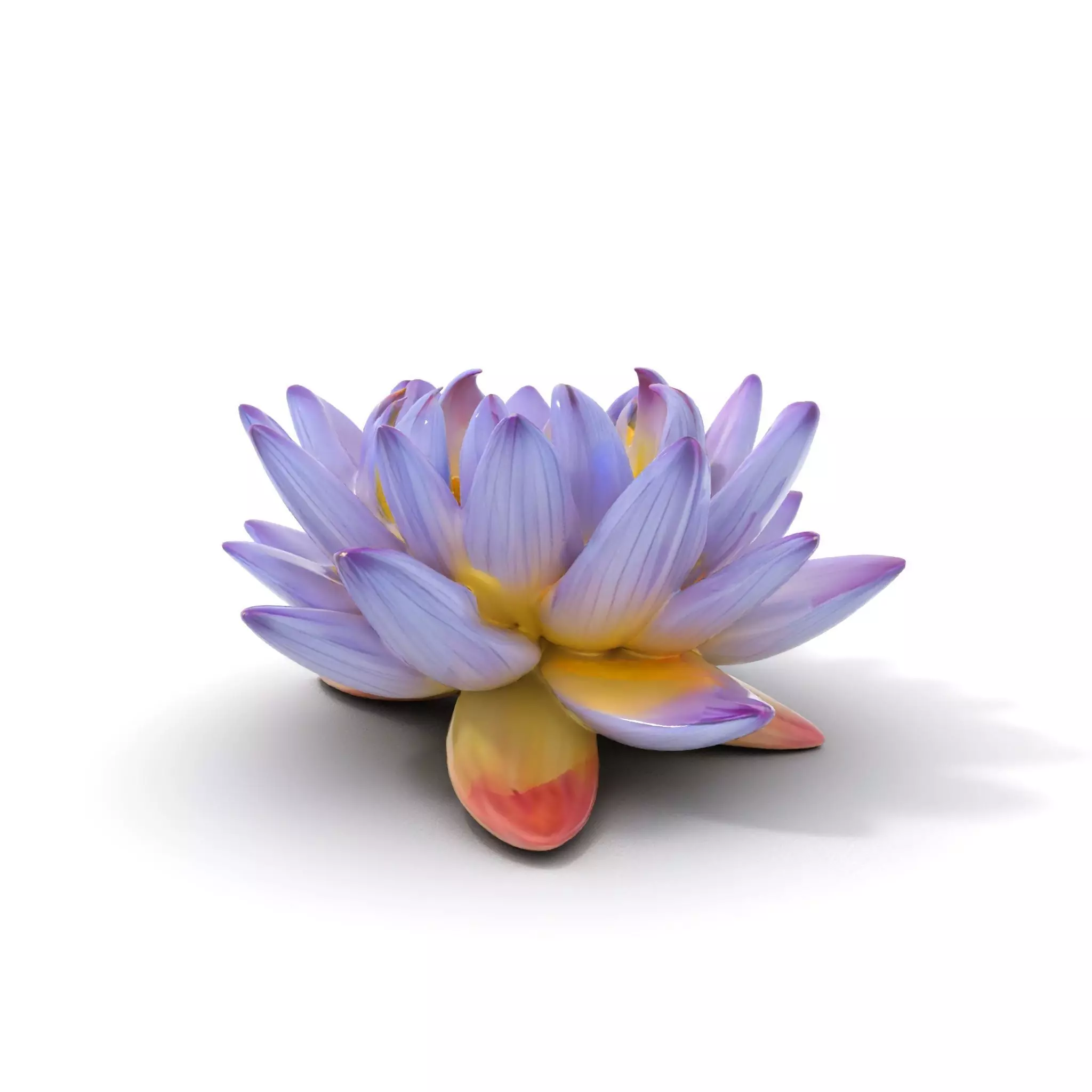 Elegant Lotus Blossom model pack Low-poly 3D model_0
