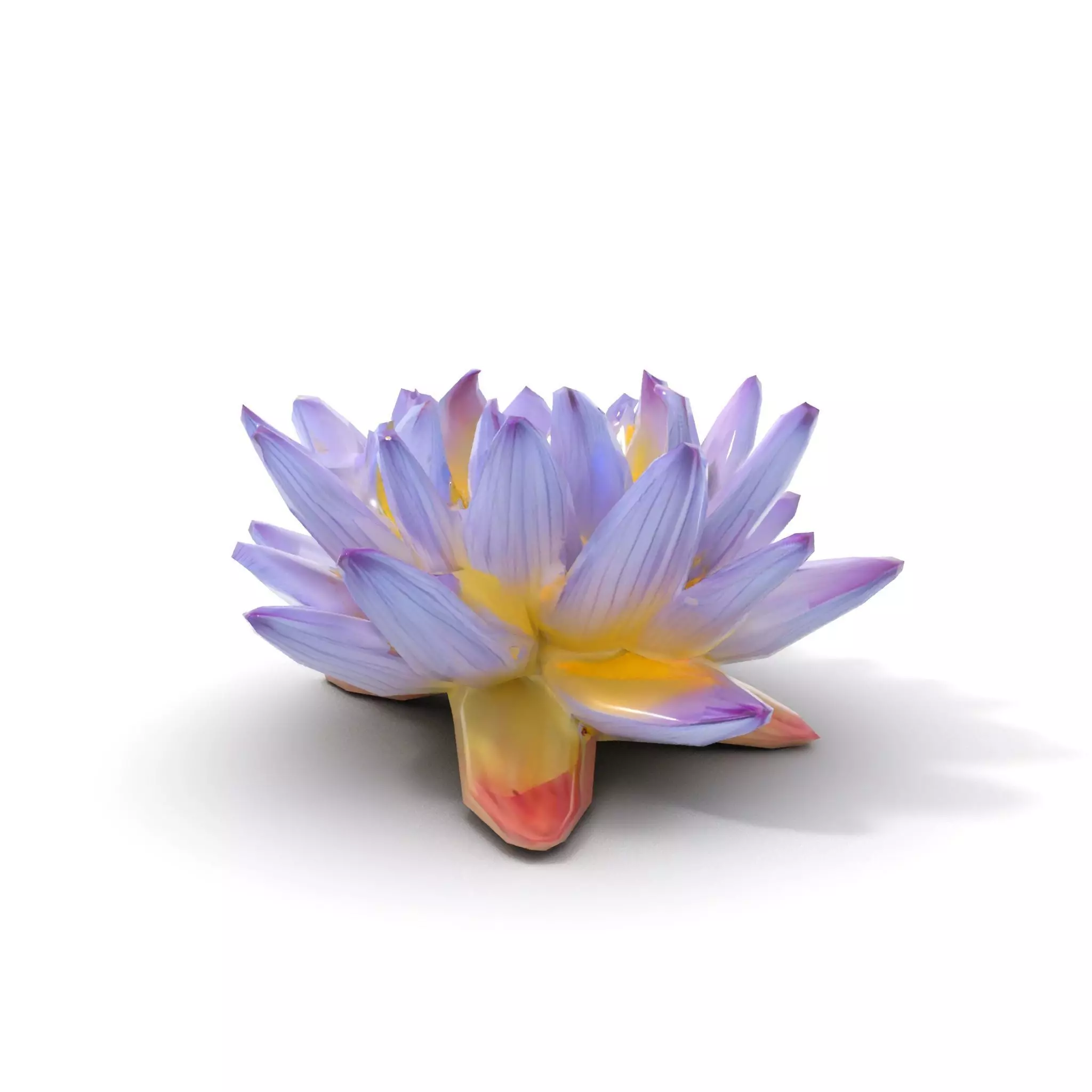 Elegant Lotus Blossom model pack Low-poly 3D model_8