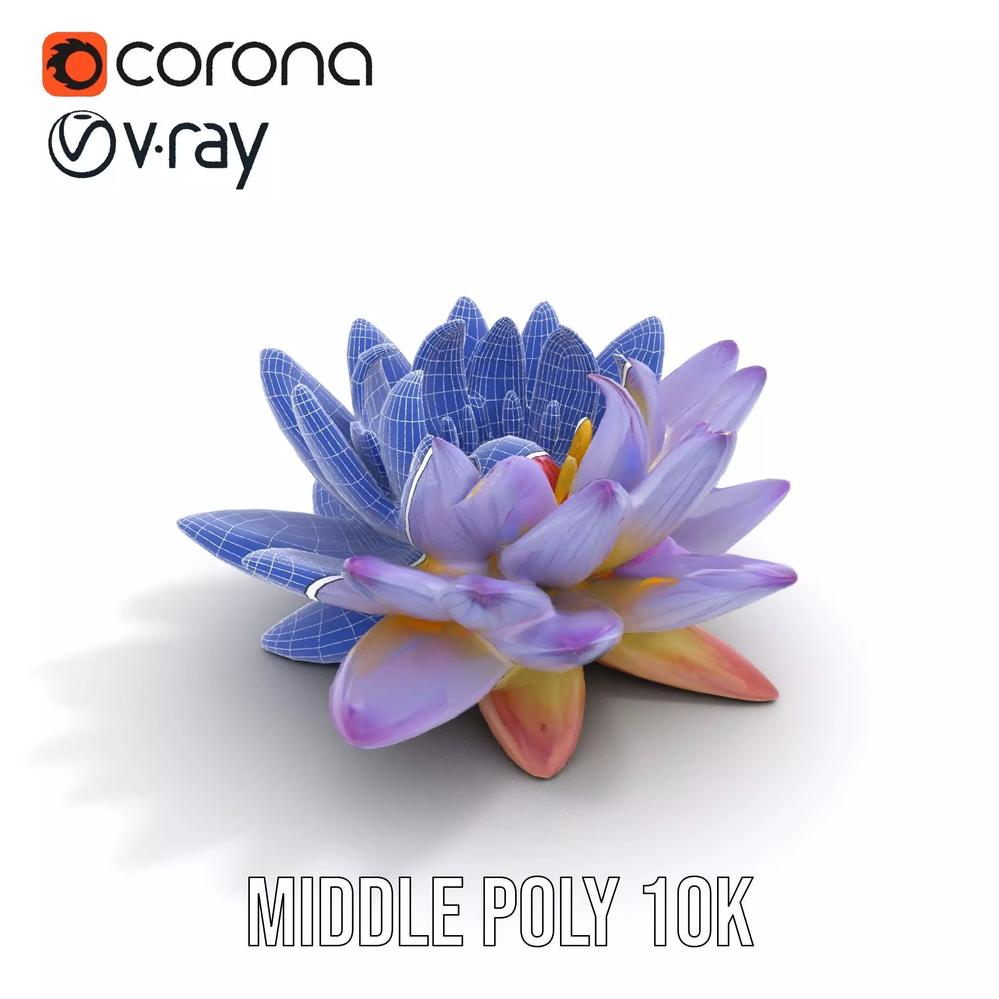 Elegant Lotus Blossom model pack Low-poly 3D model_11