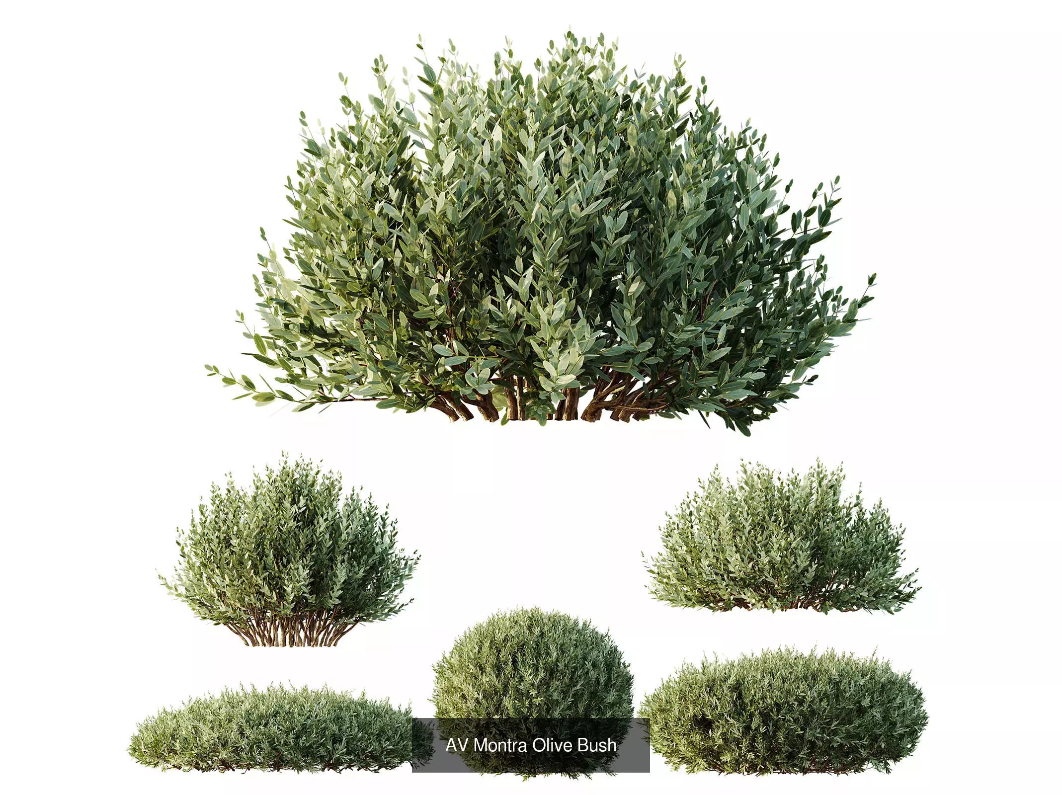 AV 9 Different sets of spring and summer shrubs  3D Model Collection_10