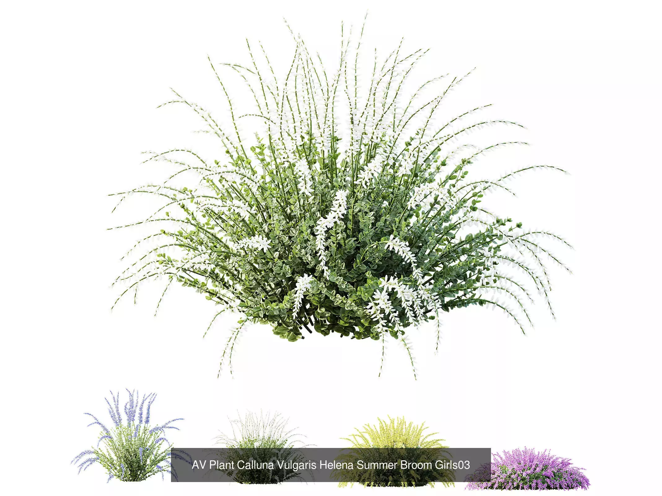 AV 9 Different sets of spring and summer shrubs  3D Model Collection_6