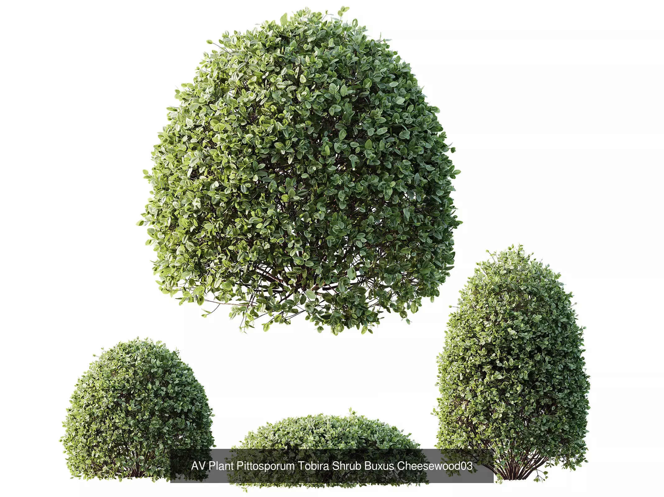 AV 9 Different sets of spring and summer shrubs  3D Model Collection_3