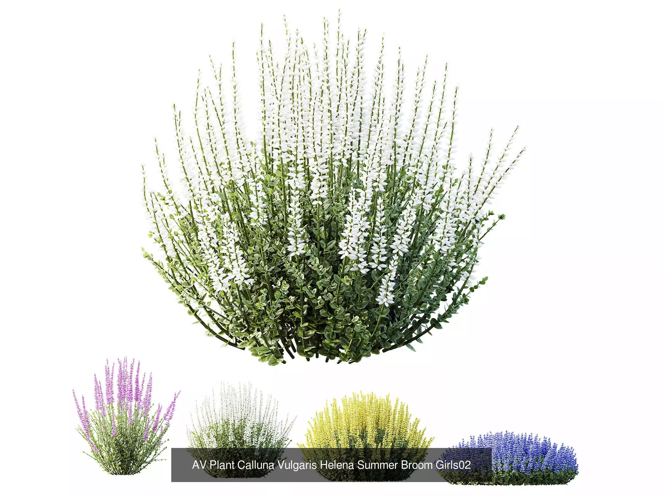 AV 9 Different sets of spring and summer shrubs  3D Model Collection_5