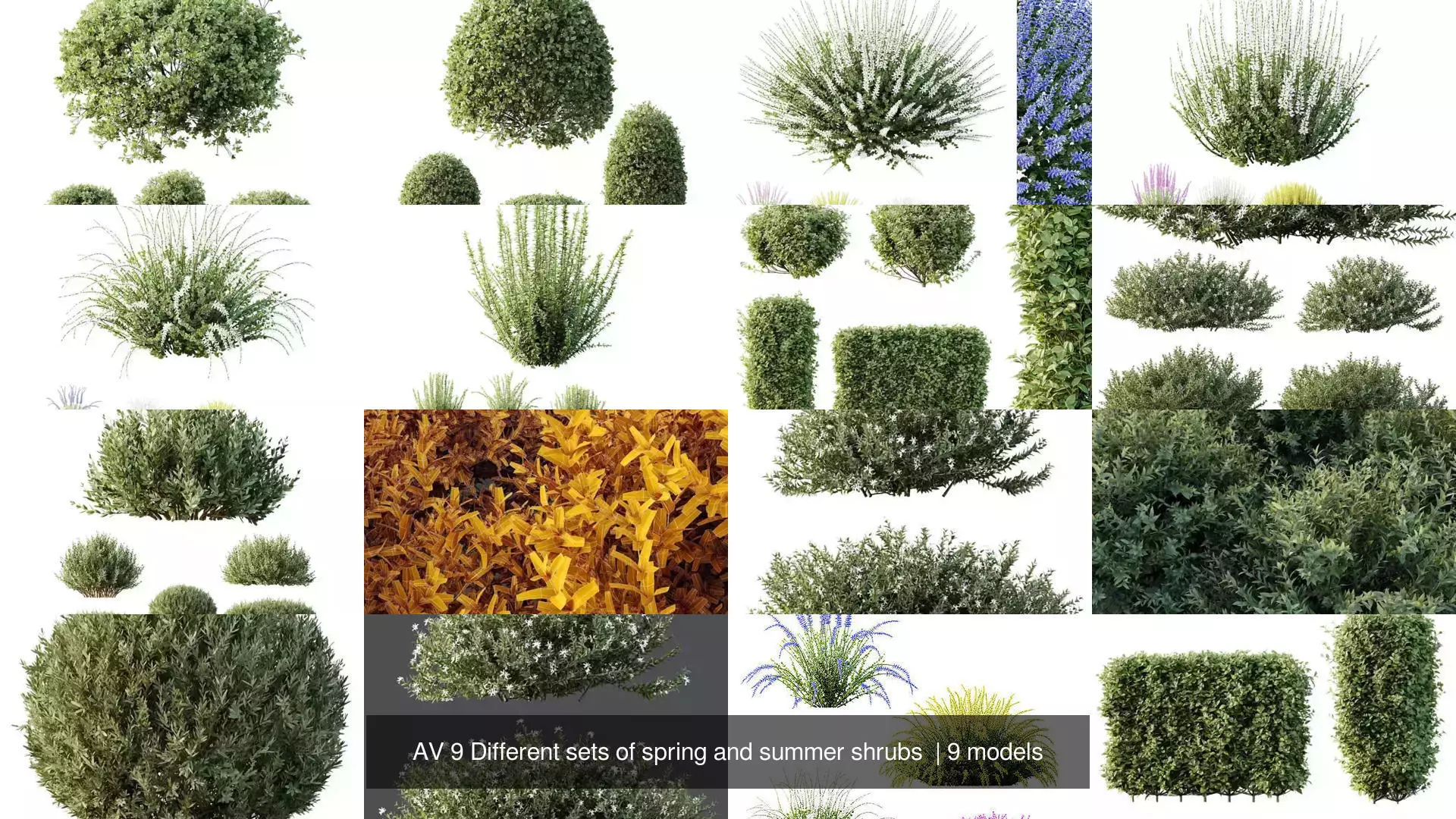 AV 9 Different sets of spring and summer shrubs  3D Model Collection_1