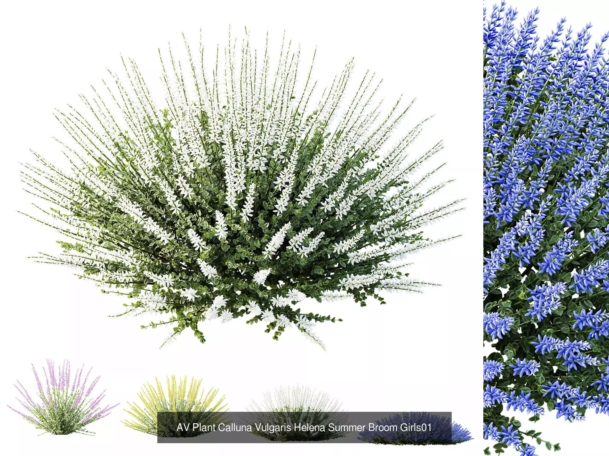 AV 9 Different sets of spring and summer shrubs  3D Model Collection_4