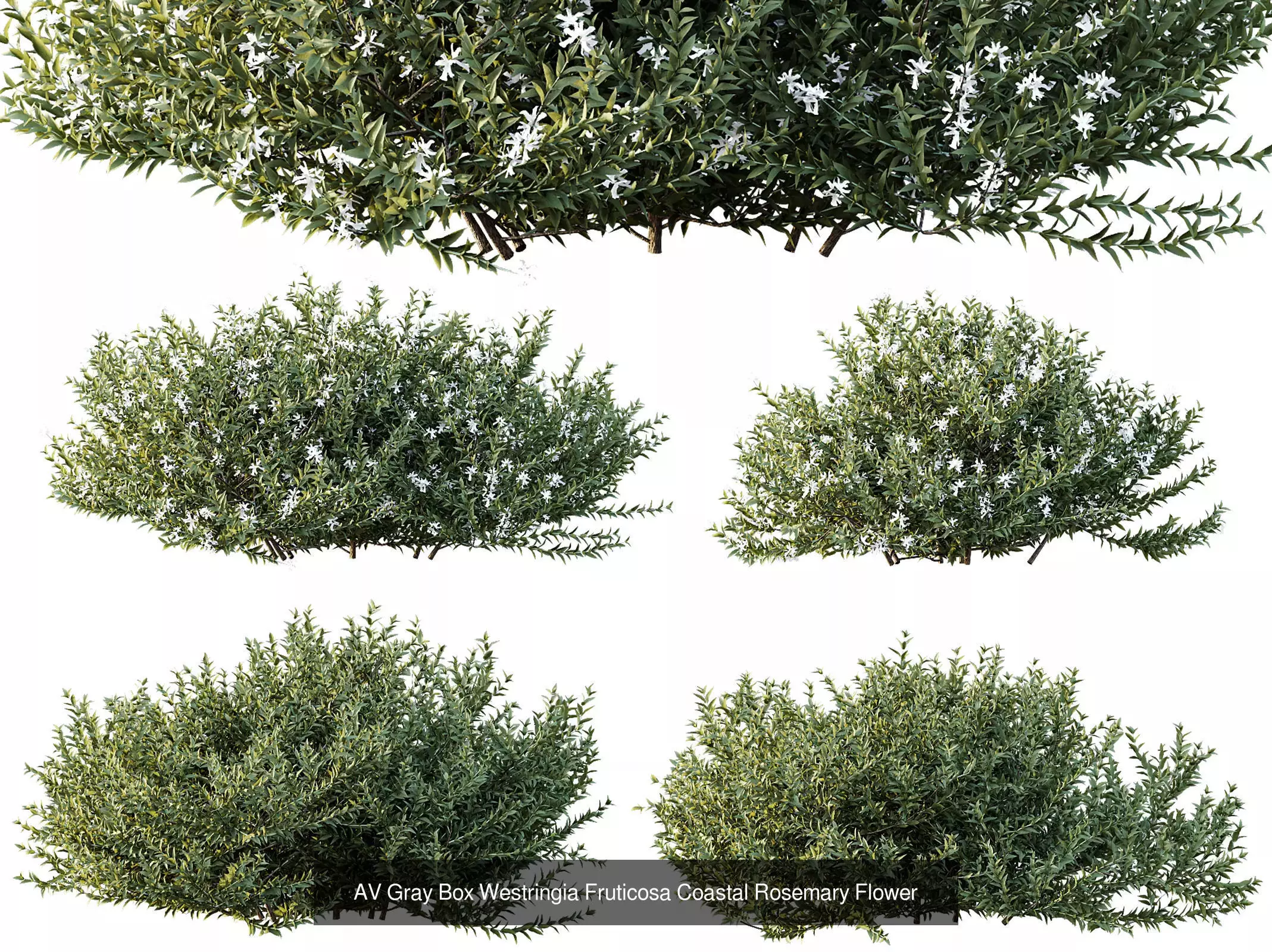 AV 9 Different sets of spring and summer shrubs  3D Model Collection_9