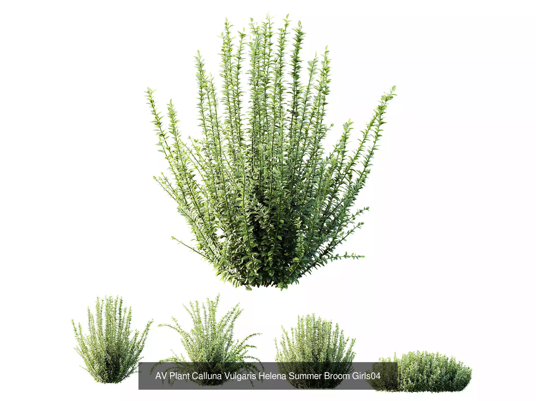 AV 9 Different sets of spring and summer shrubs  3D Model Collection_7