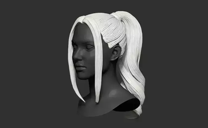 High poly model of female hairstyle 3D print model