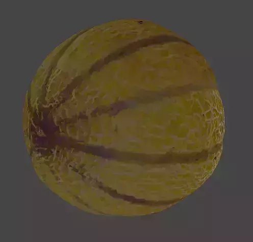  Cantaloupe Melone 3D model