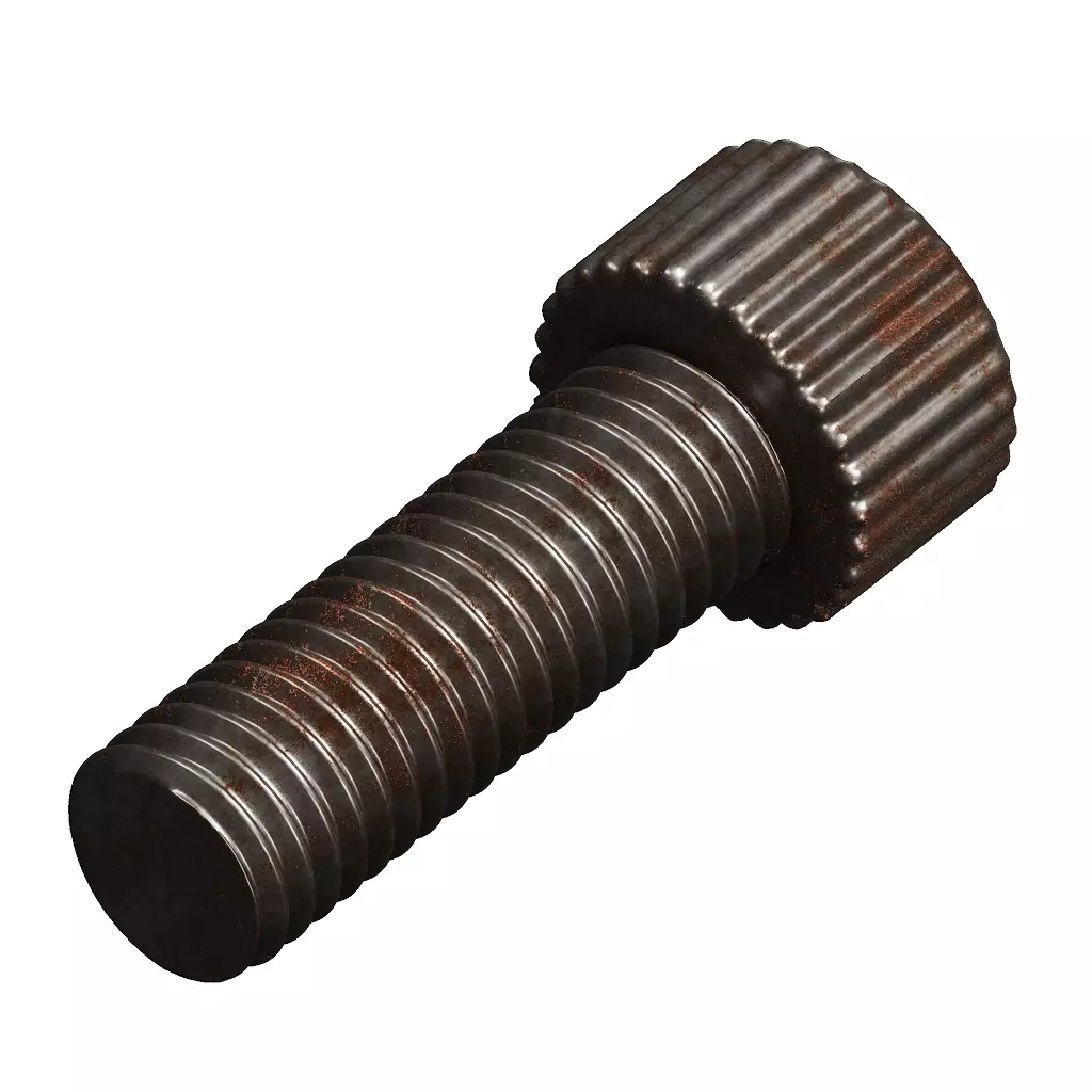 Rusty Steel Socket Bolt 3D model_1