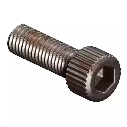 Rusty Steel Socket Bolt