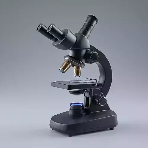 Binocular Microscope