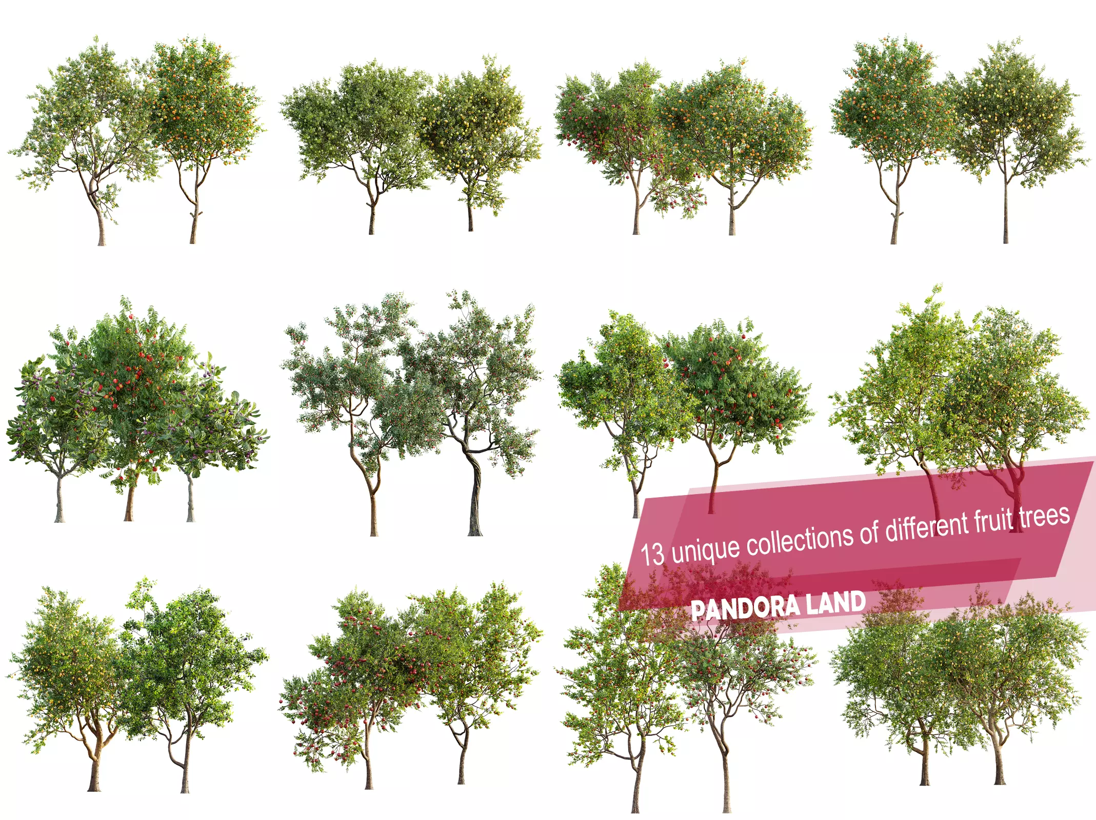 AV 13 unique collections of different fruit trees _0