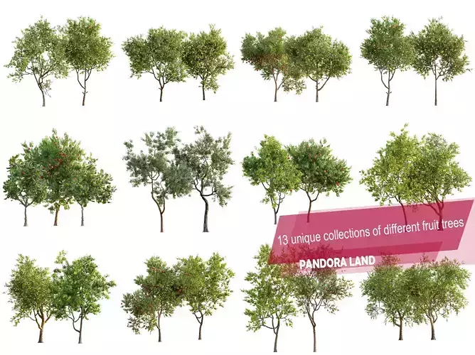 AV 13 unique collections of different fruit trees 