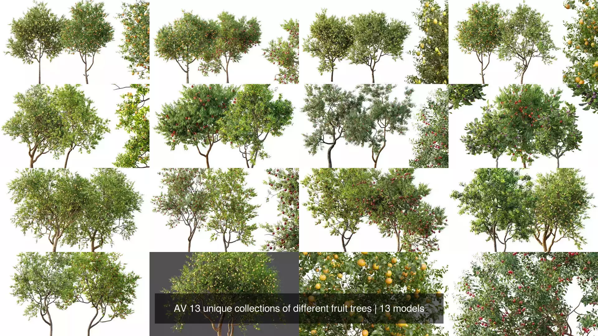 AV 13 unique collections of different fruit trees _1