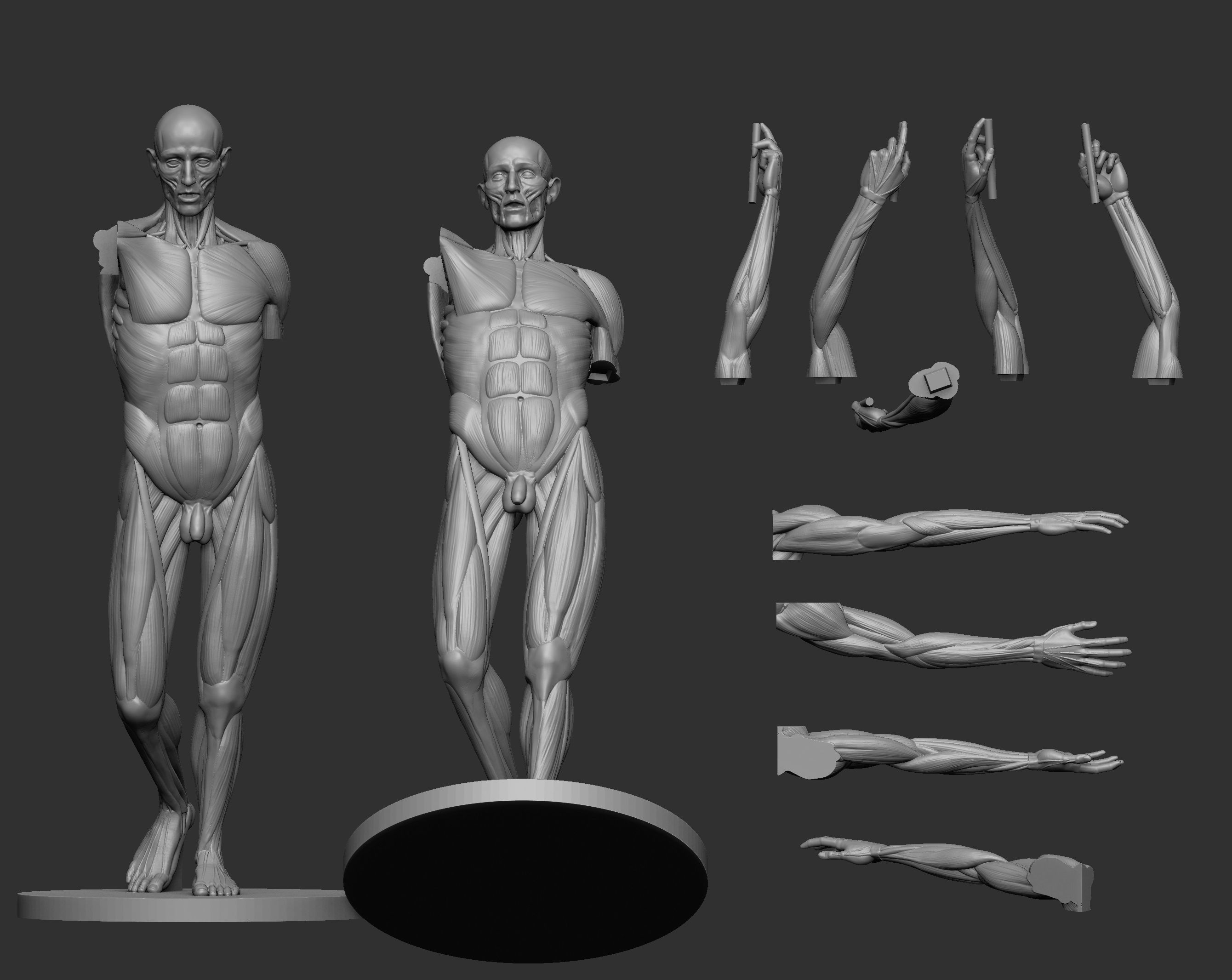 Ecorche Houdon 3D print model_2