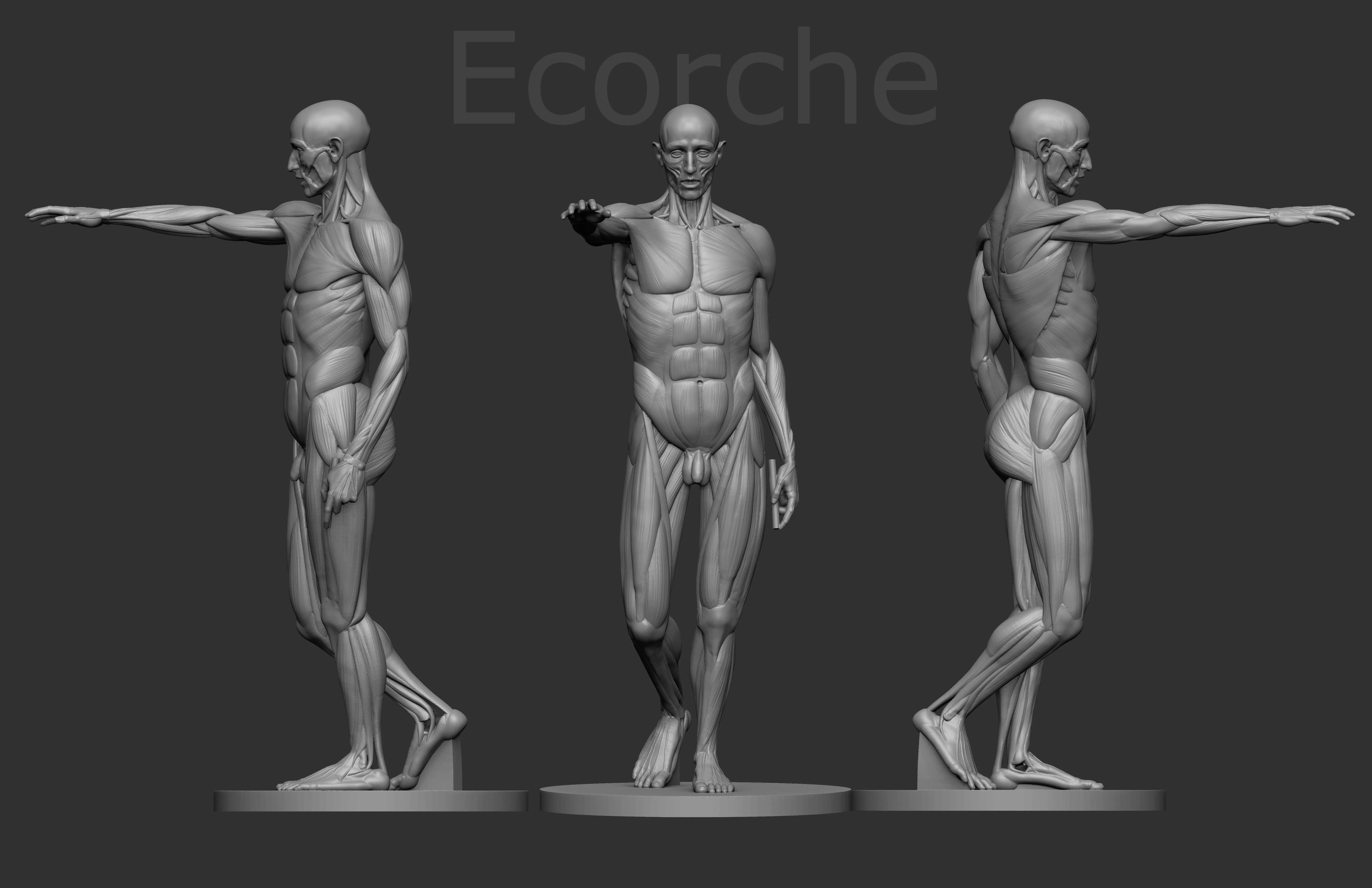 Ecorche Houdon 3D print model_0