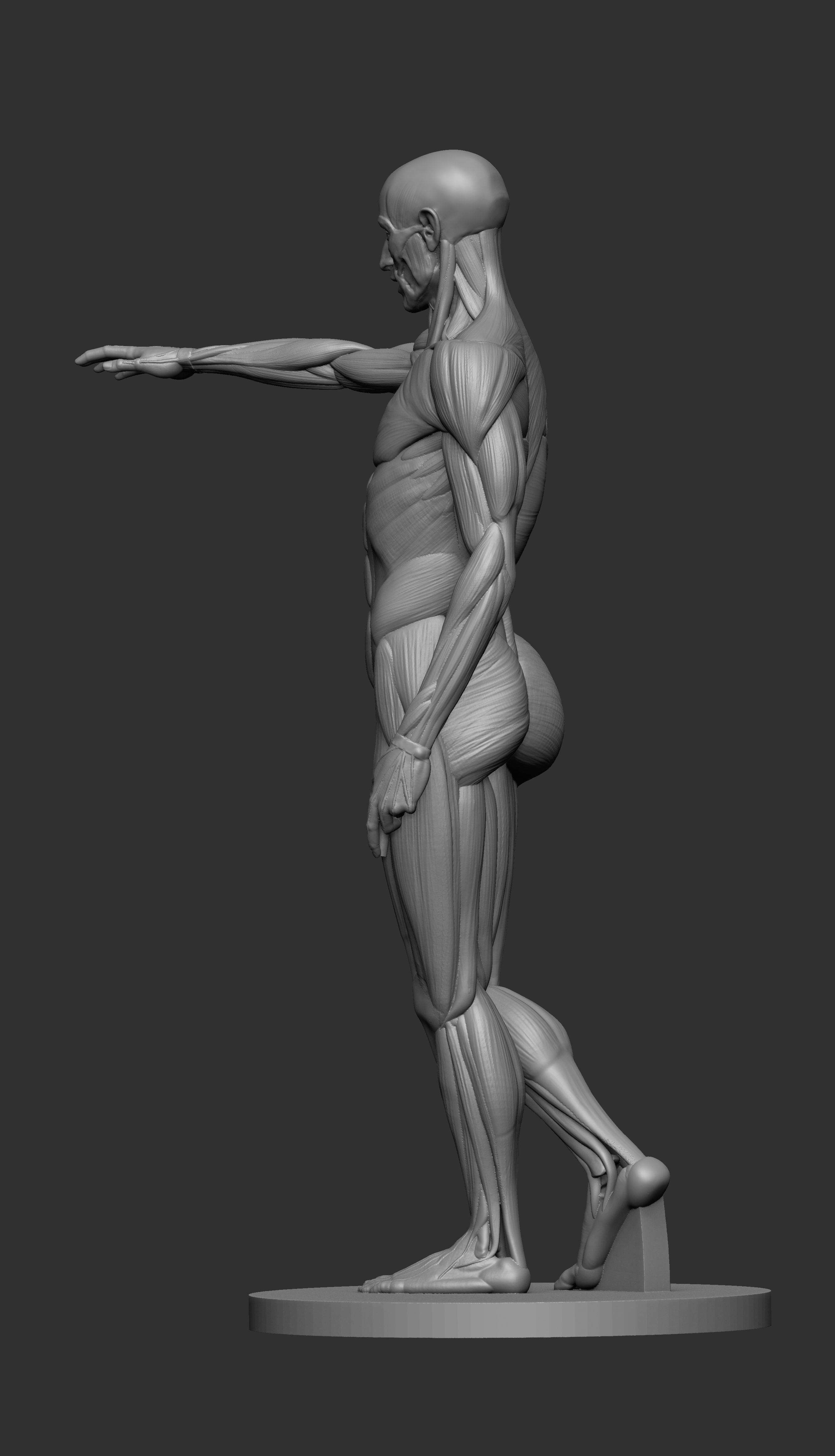 Ecorche Houdon 3D print model_3