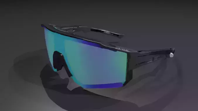Snowboard goggles