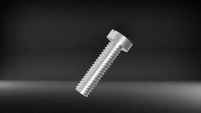 Slotted Head Screw Model