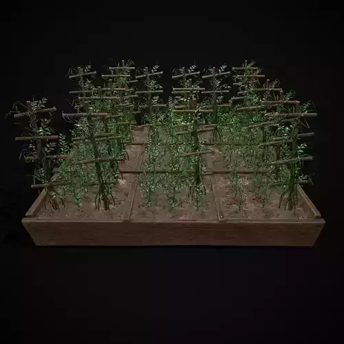 Square Planting Plot with Peas