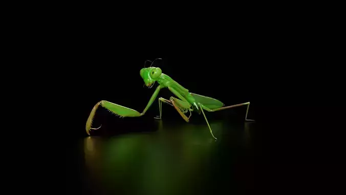 Praying Mantis Rig PBR