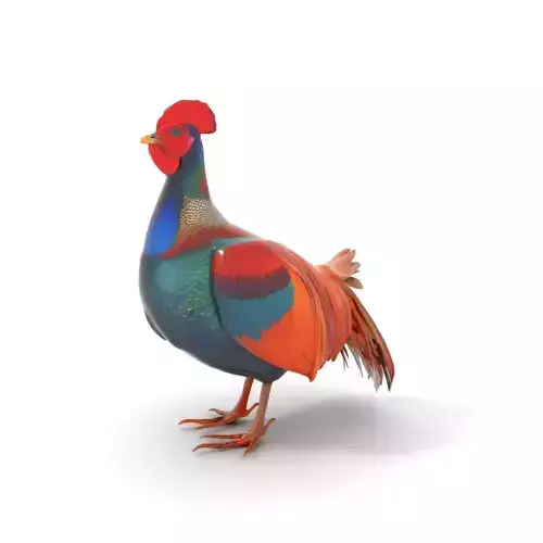 Vibrant Rooster model pack