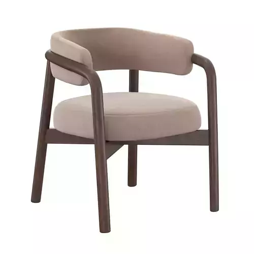 modern dining chair