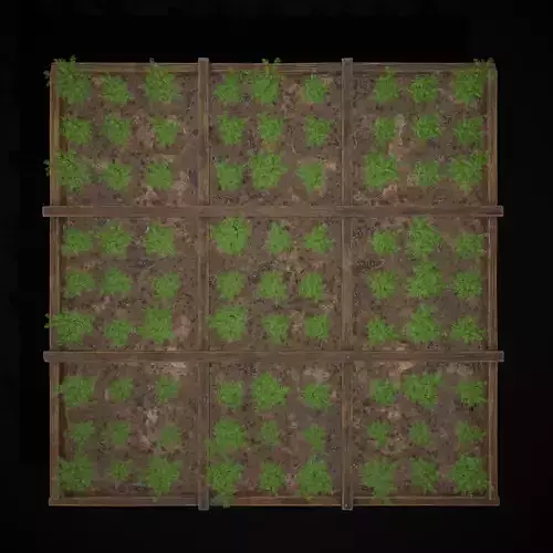Square Planting Plot with Carrots Low-poly 3D model 7