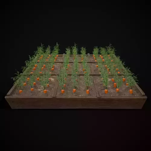 Square Planting Plot with Carrots