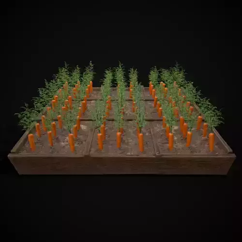 Square Planting Plot with Carrots Low-poly 3D model 5