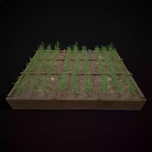 Square Planting Plot with Carrots Low-poly 3D model 3