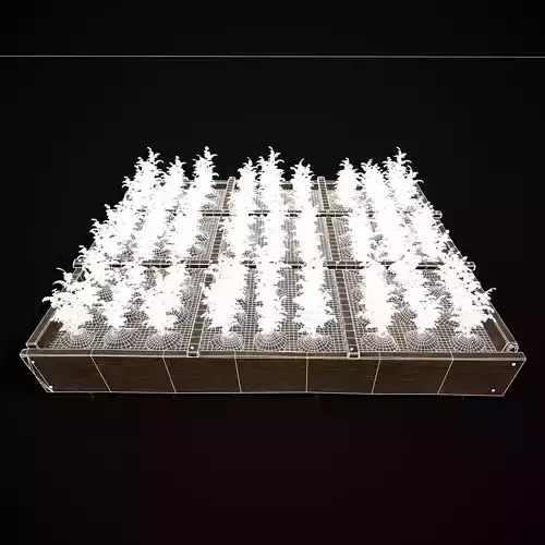 Square Planting Plot with Carrots Low-poly 3D model 4