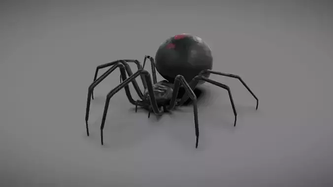 Spider - Read Description