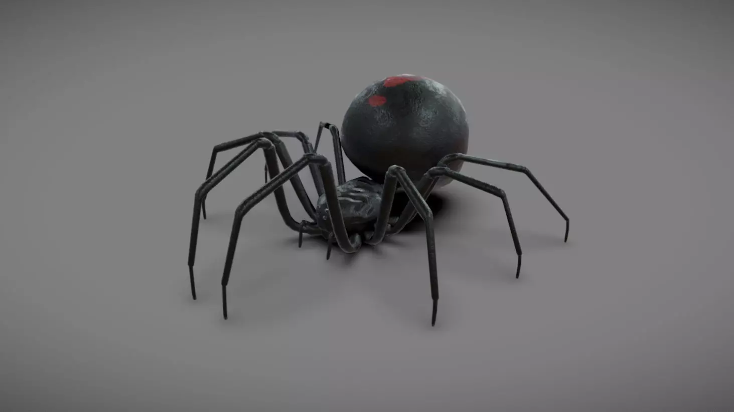 Spider - Read Description Low-poly 3D model