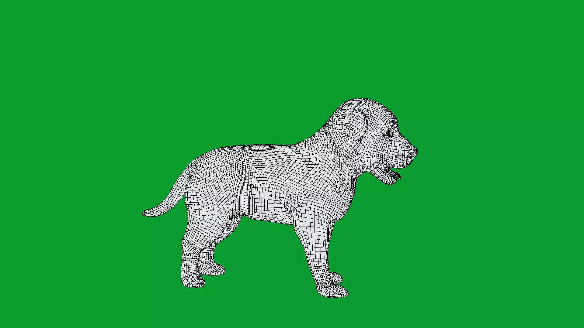 Rottweiler Puppy Dog Low-poly 3D model_36